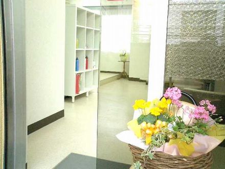 ���X�̓����